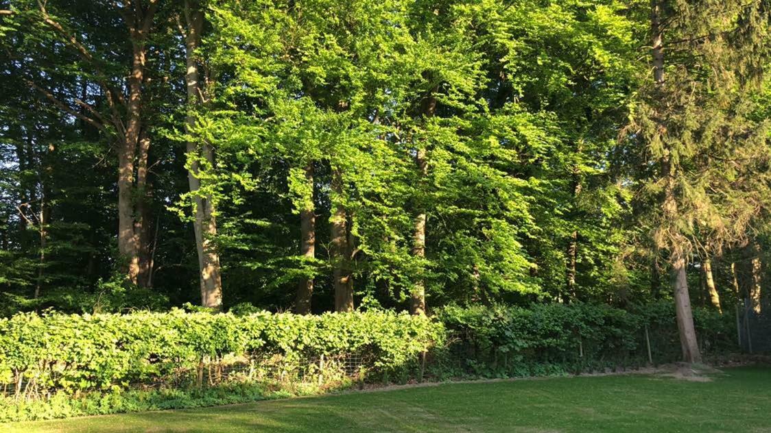 Ferienhaus Baek-Ratzeburg Bak Екстер'єр фото